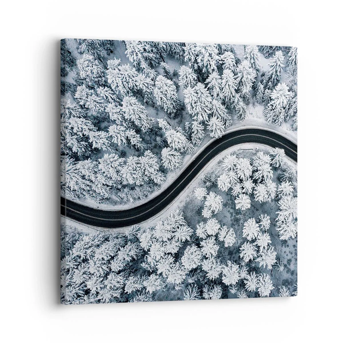Obraz na plátně - Zimním lesem - 30x30 cm