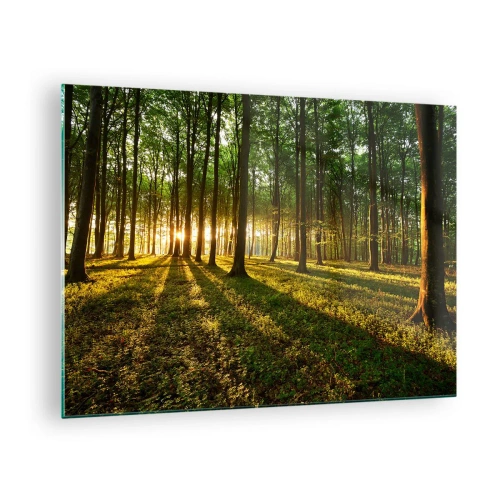 Obraz na skle - Lesní mýtina ozářená paprsky vycházejícího slunce - 70x50cm - Fotografie všech jar - Moderní nástěnná dekorace do obývacího pokoje a ložnice ARTTOR