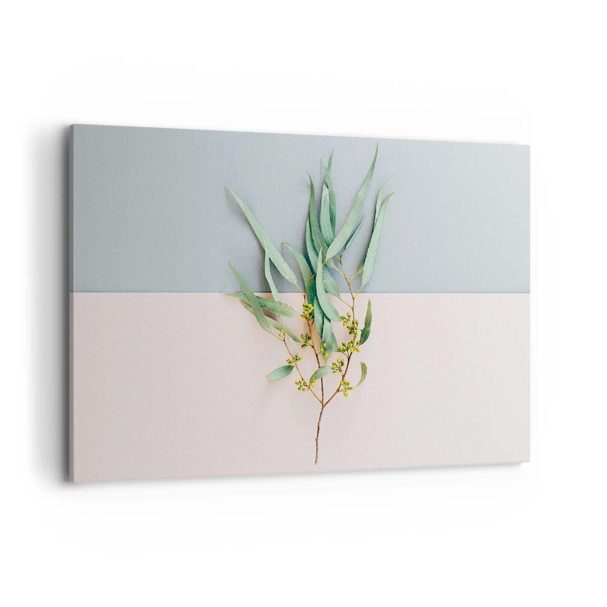 Obraz na plátně - Pastelová jemnost - 120x80 cm