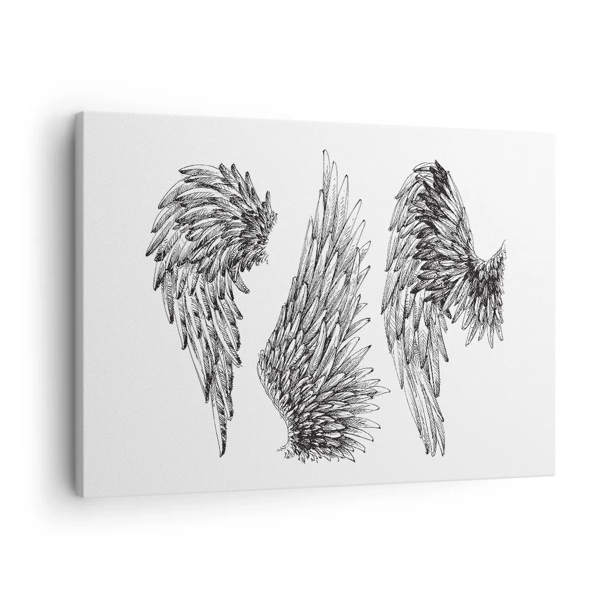 Obraz na plátně - Tři černobílé skici křídel v minimalistickém stylu. - 70x50cm - I ty se můžeš stát andělem - Moderní nástěnná dekorace do obývacího pokoje a ložnice ARTTOR