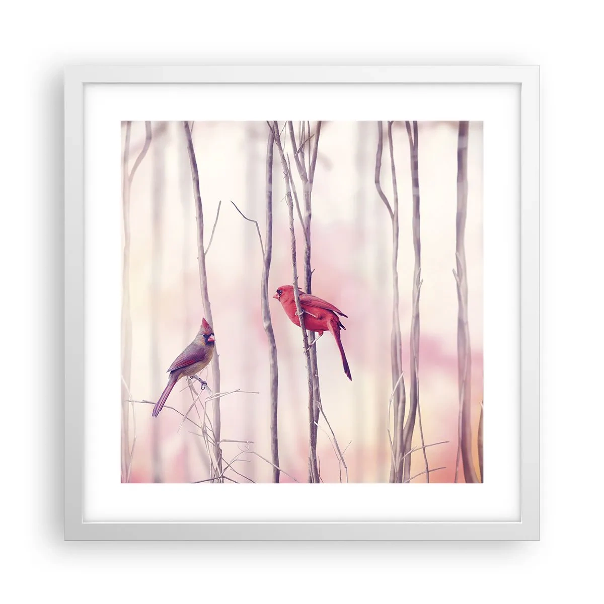 Plakát v bílém rámu - Příběh růžového lesa - 40x40 cm