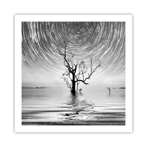 Plakát - Symfonie přírody - 60x60 cm