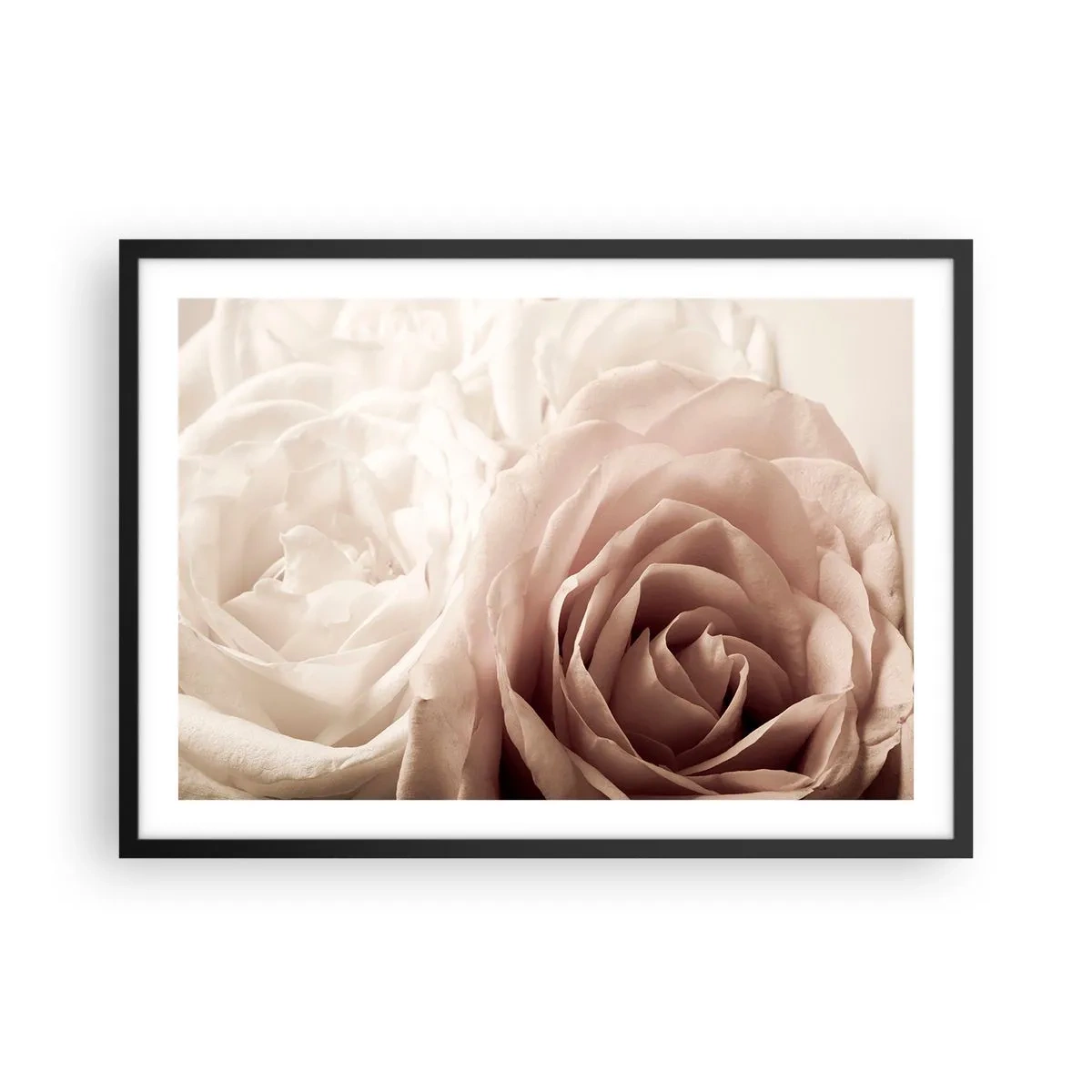 Plakát v černém rámu - V srdci růže - 70x50 cm