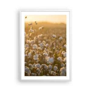 Plakát v bílém rámu - Chlupaté pole - 50x70 cm