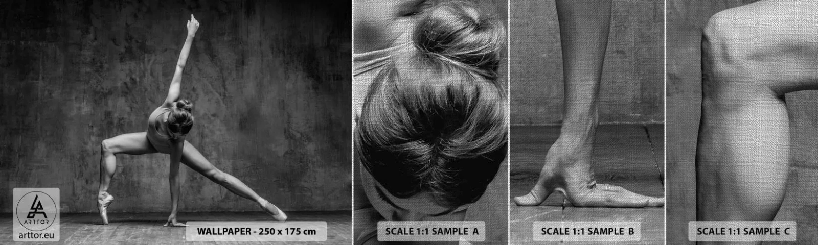 Vzor Fototapety Premium Canvas - Ideál rovnováhy - Gymnastika, Balet, Tanec - 100x30 cm