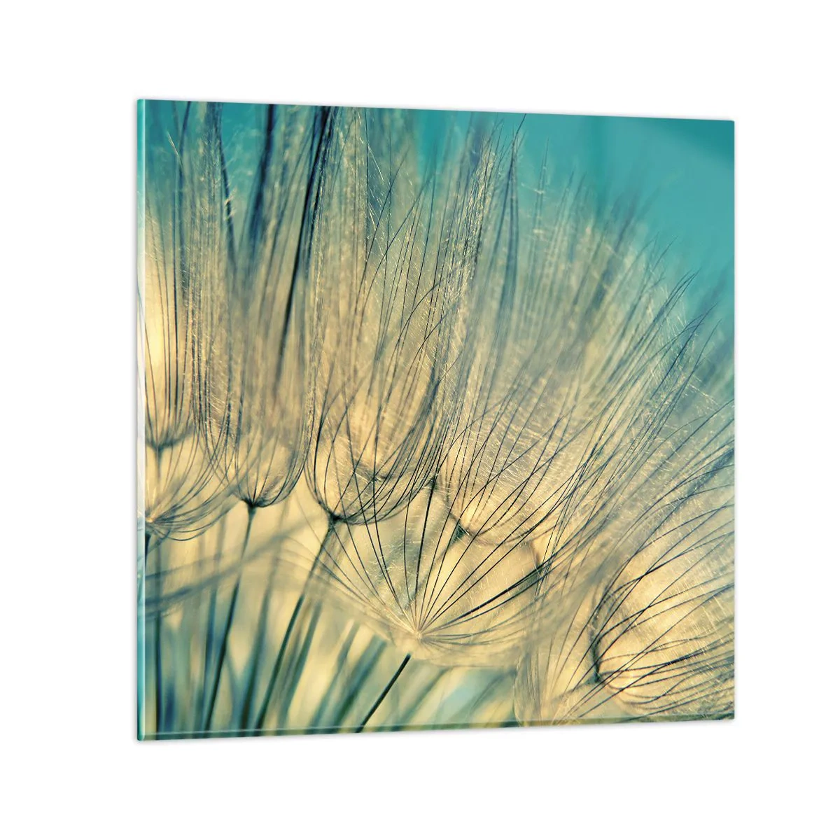 Obraz na skle - Čekání na vítr - 50x50 cm