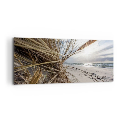 Obraz na plátně - Setkání živlů - 100x40 cm
