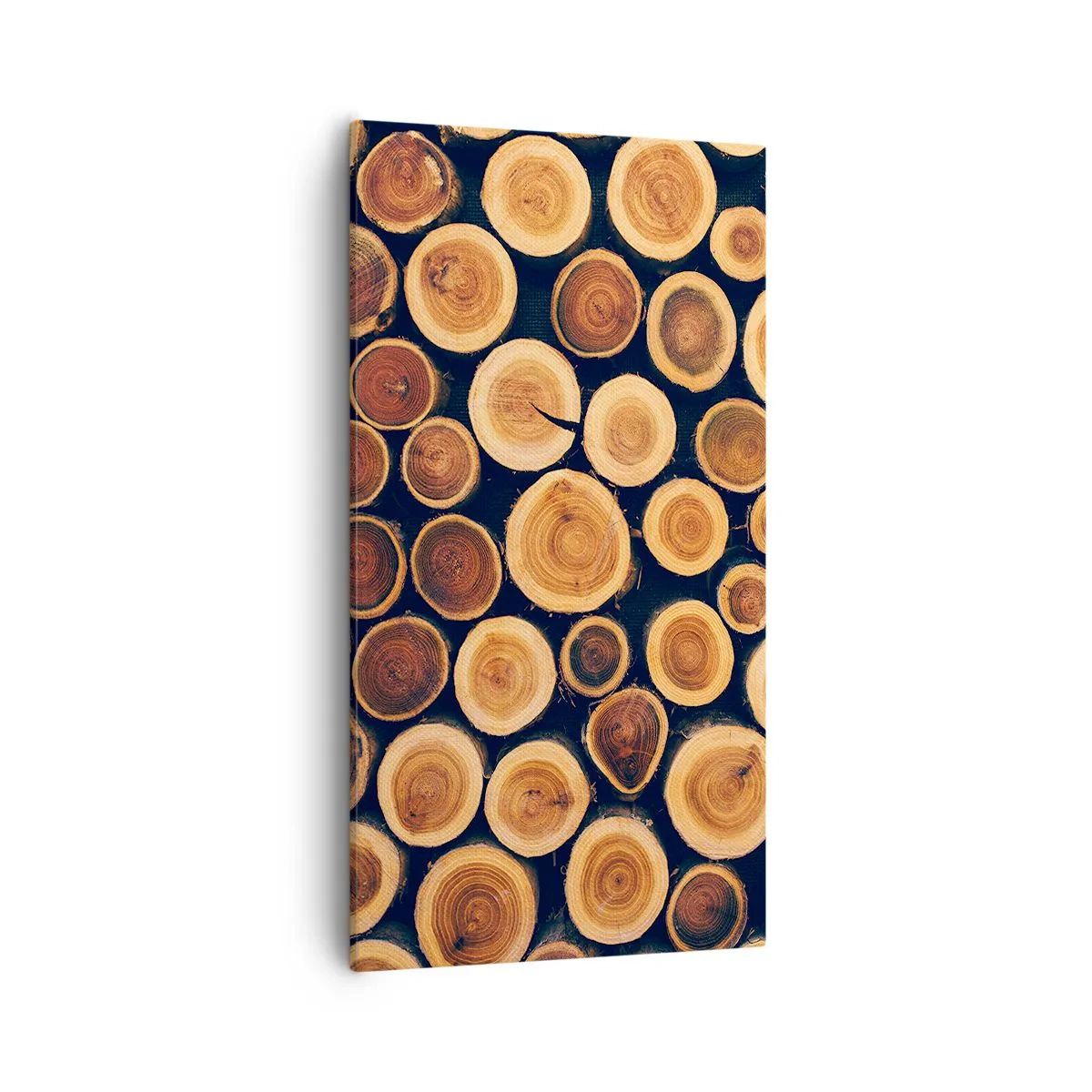 Obraz na plátně - Na kolik vypadám? - 55x100 cm