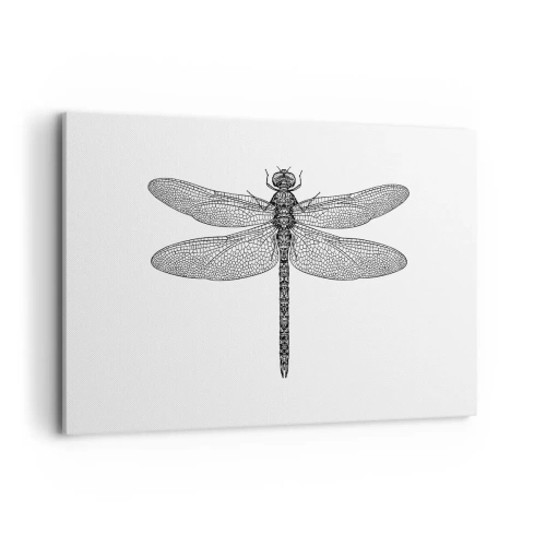 Obraz na plátně - Přesnost přírody - 120x80 cm