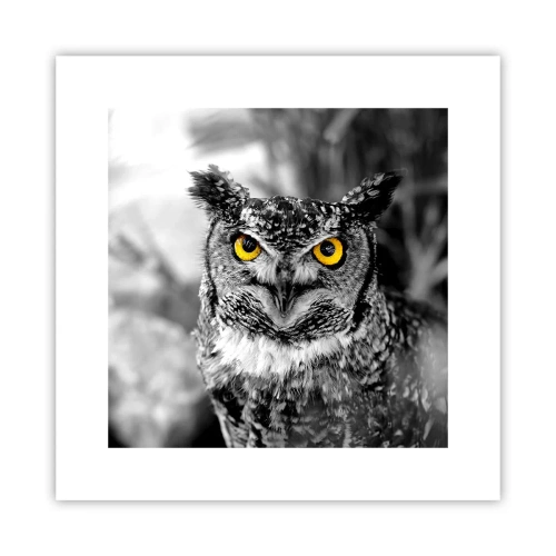 Plakát - Nic se neschová - 30x30 cm