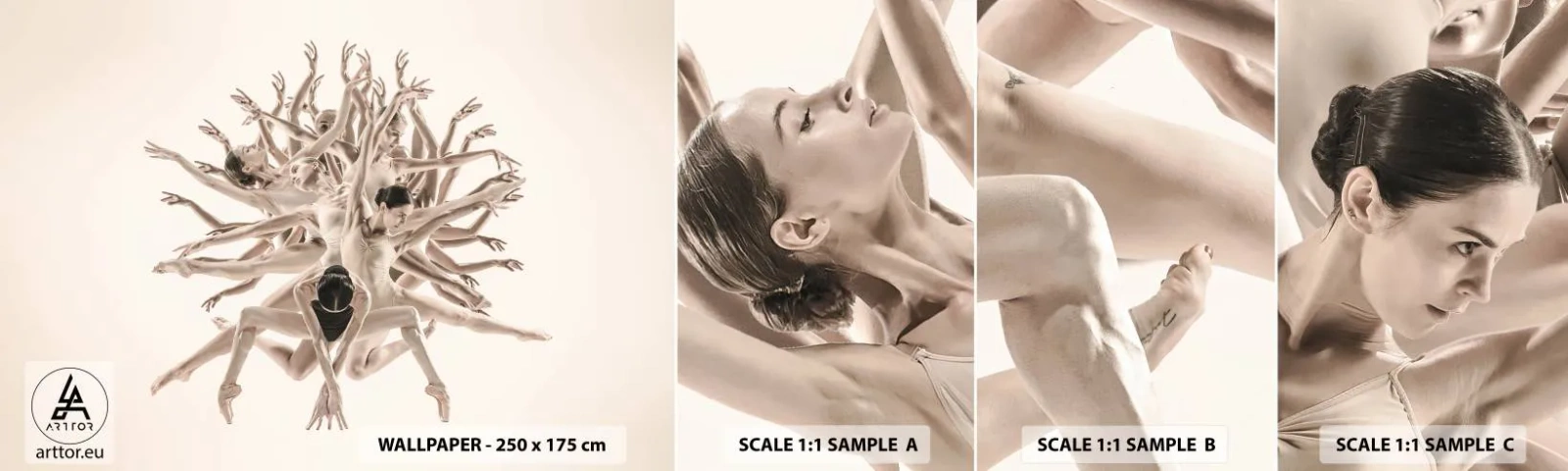 Fototapeta Vzorek Standard Eco - Rozkvět v tanci - Abstrakce, Kus, Balet - 100x30 cm