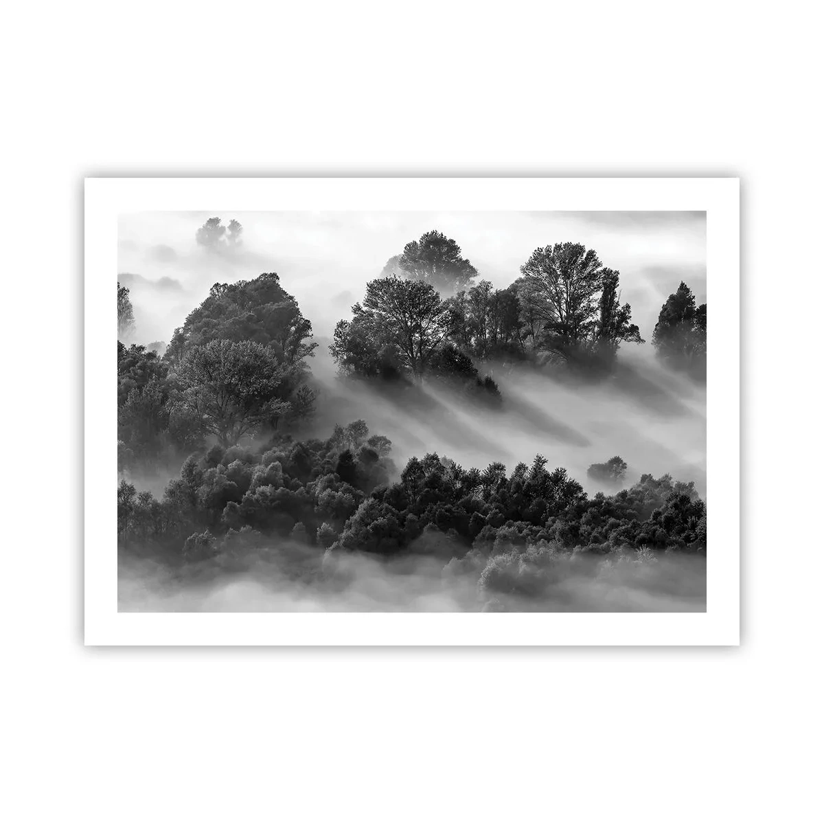 Plakát - Probouzení ze spánku - 70x50 cm
