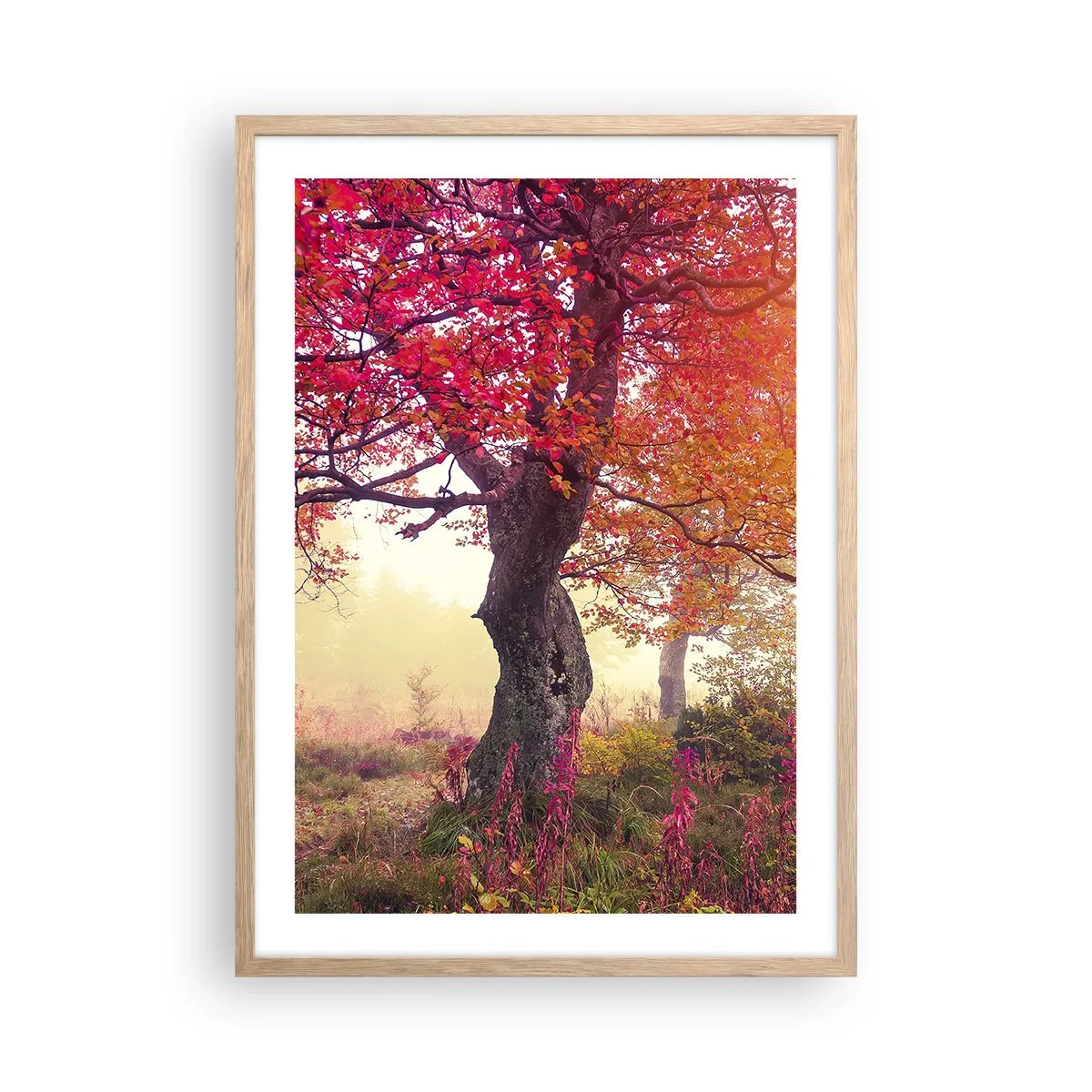 Plakát v rámu světlý dub - Šílenství rozkvětu - 50x70 cm