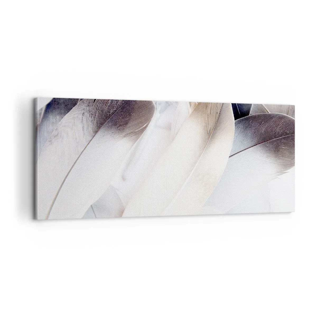 Obraz na plátně - Téměř andělské - 100x40 cm