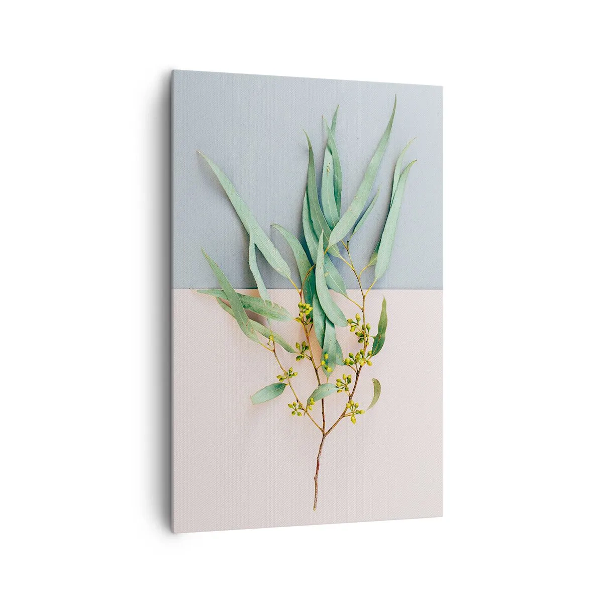 Obraz na plátně - Pastelová jemnost - 80x120 cm