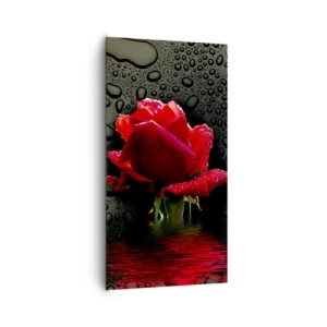 Obraz na plátně - Červené a černé - 65x120 cm