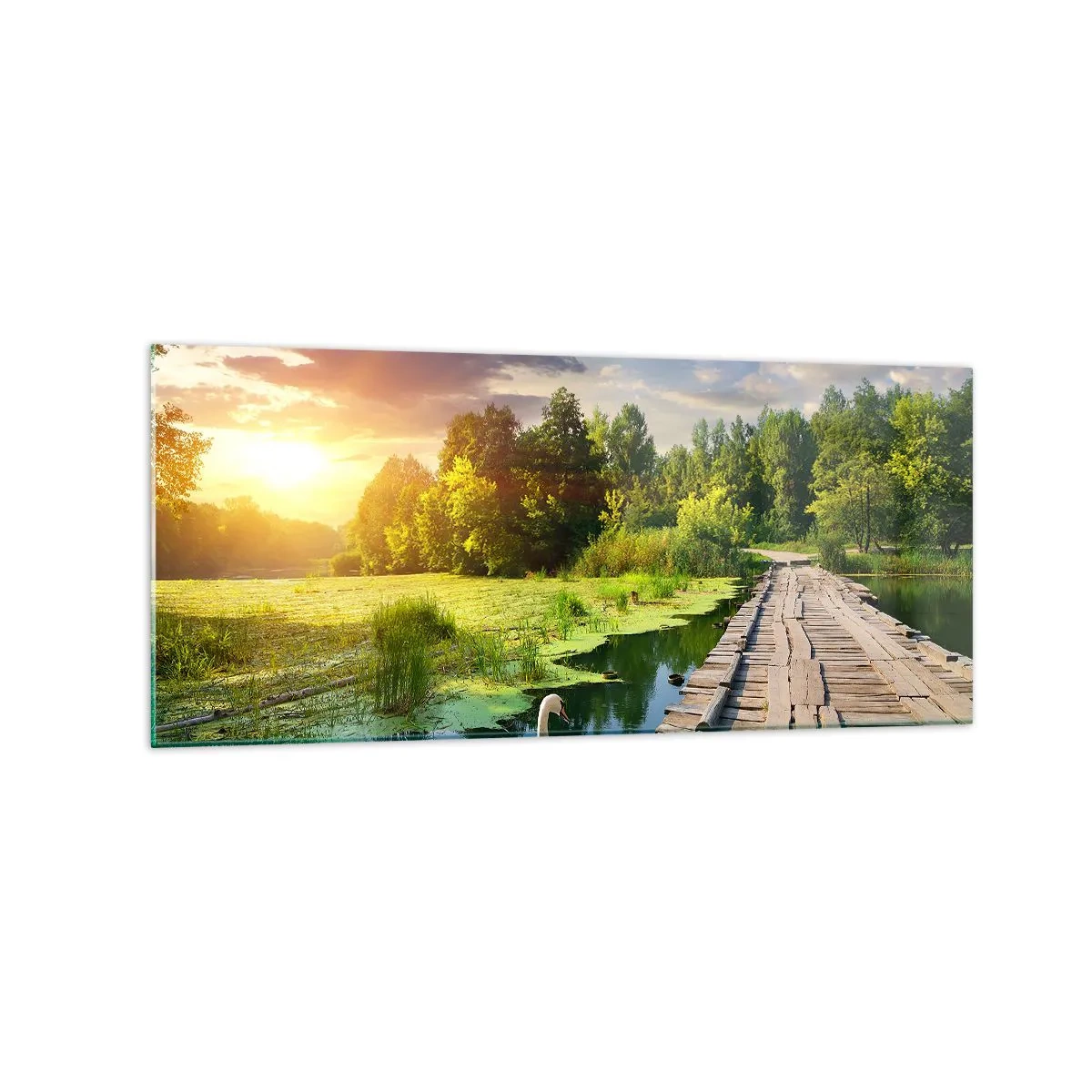 Obraz na skle - Léto, léto všude - 120x50 cm