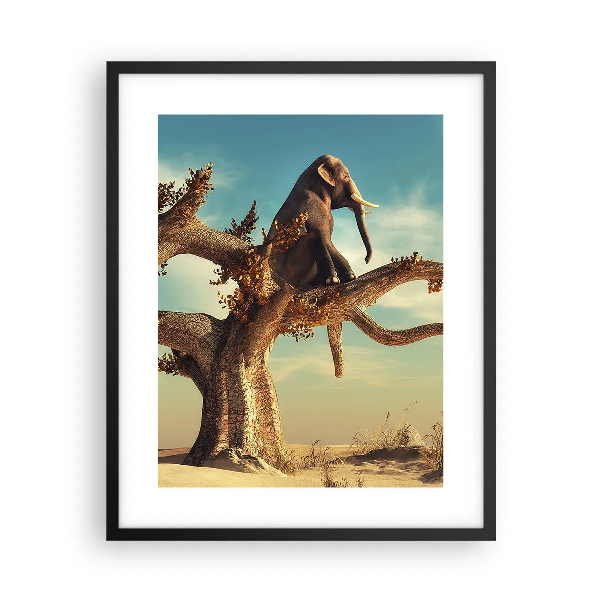 Plakát v černém rámu - Nový úhel pohledu - 40x50 cm