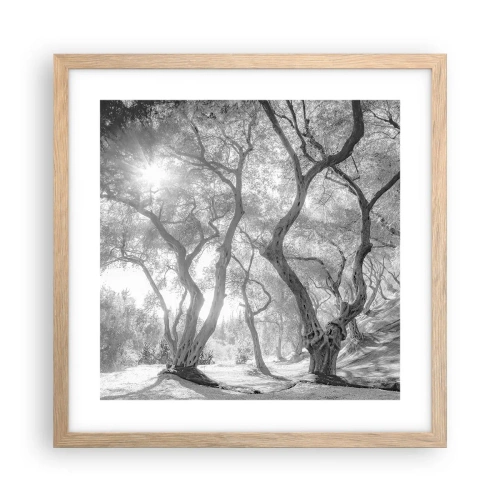 Plakát v rámu světlý dub - V olivovém háji - 40x40 cm