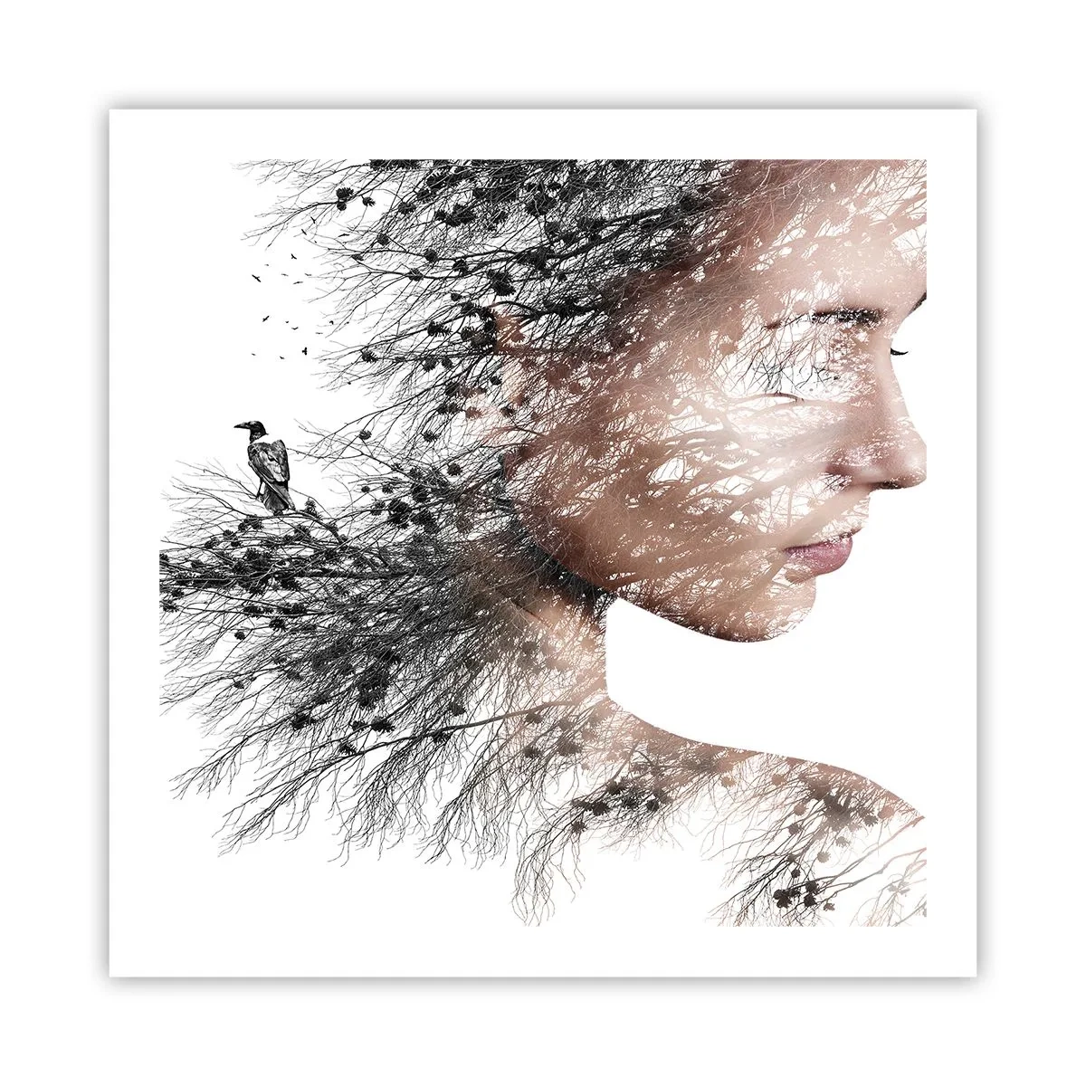Plakát - Duch lesa - 60x60 cm