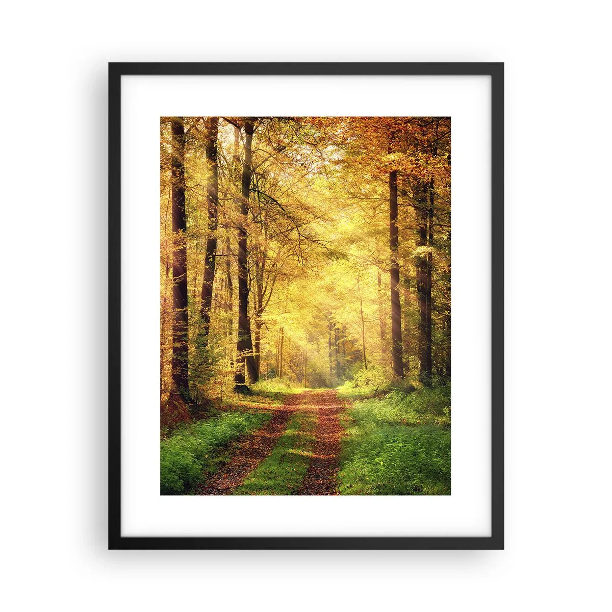 Plakát v černém rámu - Lesně-zlaté ticho - 40x50 cm