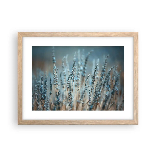 Plakát v rámu světlý dub - Voňavý lán - 40x30 cm