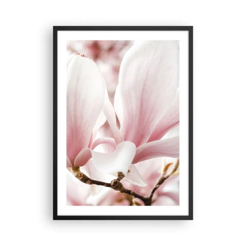 Plakát v černém rámu - Jemné růžové okvětní lístky magnólie na rozmazaném pozadí - 50x70cm - Nesmírnost něžnosti - Moderní nástěnná dekorace do obývacího pokoje a ložnice ARTTOR