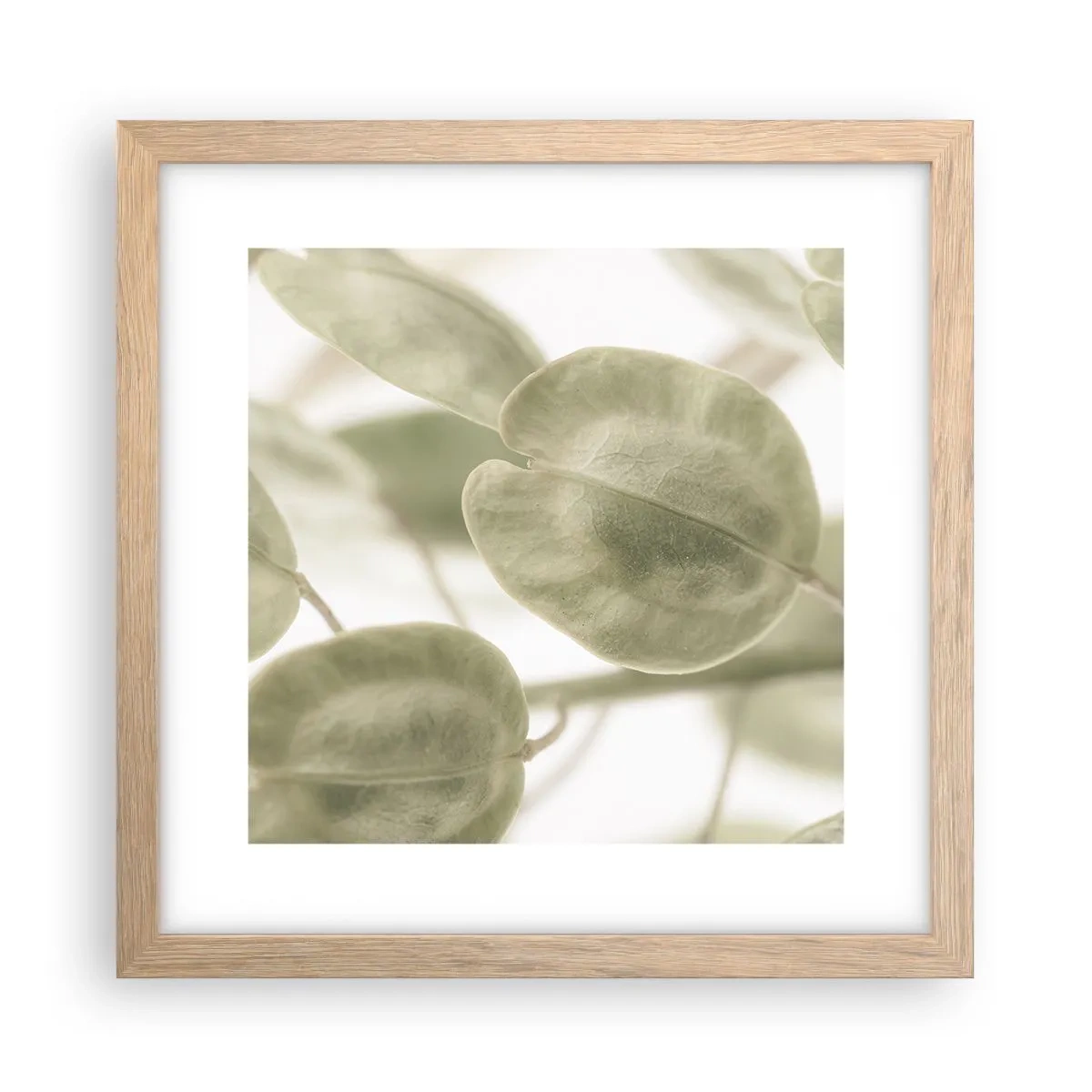 Plakát v rámu světlý dub - Na začátku bylo listí… - 30x30 cm