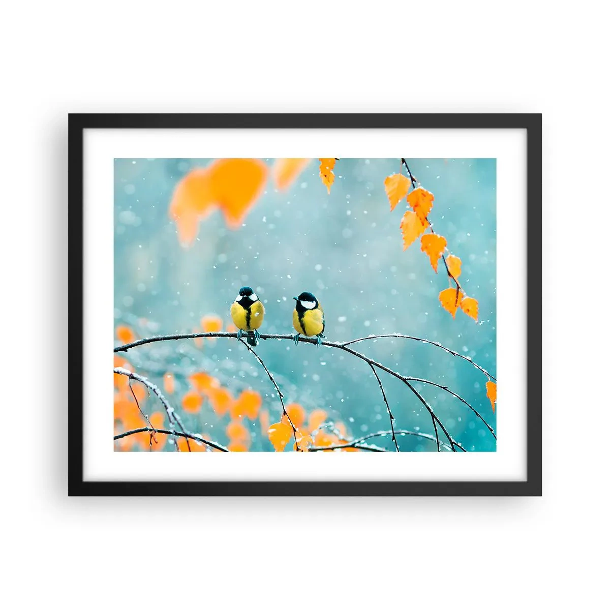 Plakát v černém rámu - Ptačí drby - 50x40 cm