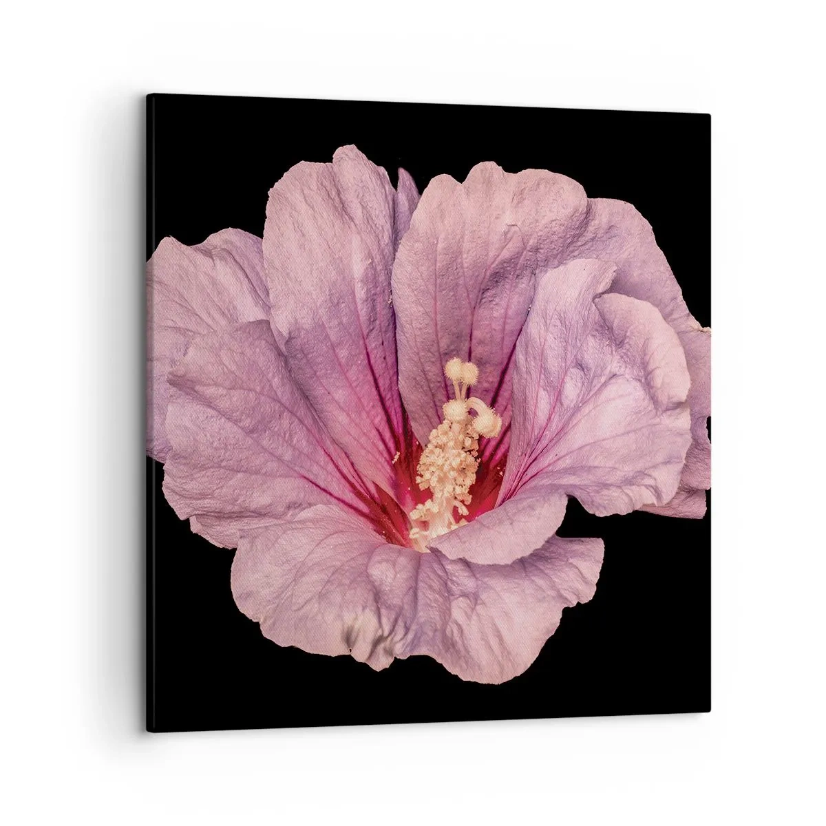 Obraz na plátně - Přímo do srdce - 50x50 cm