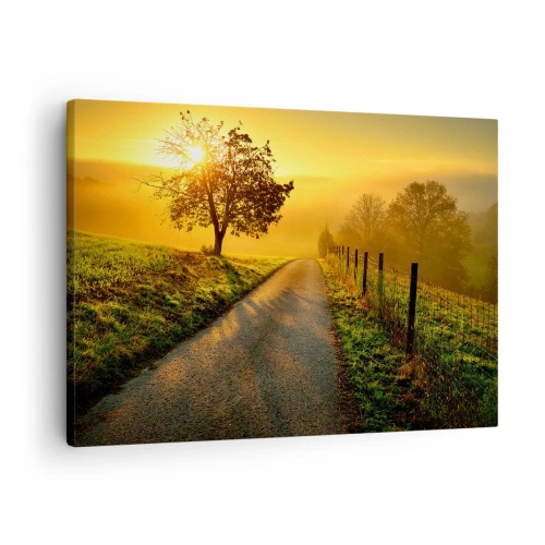 Obraz na plátně - Malebná silnice při západu slunce s osamělým stromem v pozadí - 70x50cm - Medové odpoledne - Moderní nástěnná dekorace do obývacího pokoje a ložnice ARTTOR