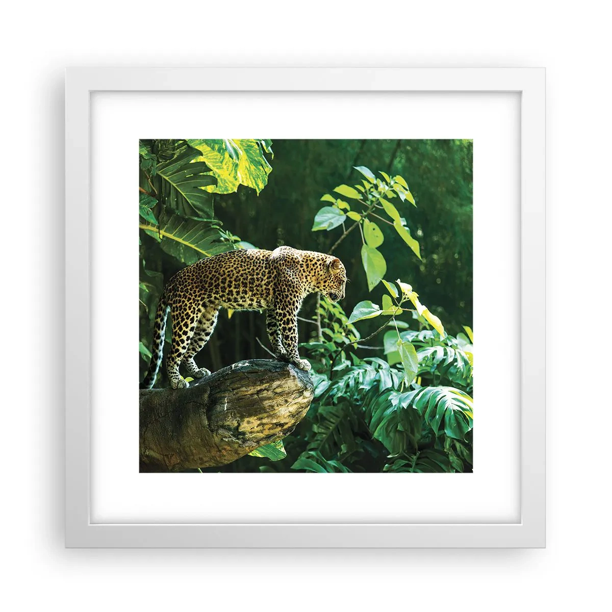 Plakát v bílém rámu - Na lov? - 30x30 cm