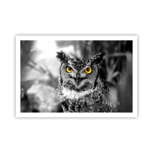 Plakát - Nic se neschová - 91x61 cm