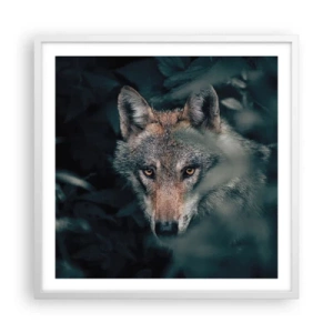 Plakát v bílém rámu - Predátor - 60x60 cm