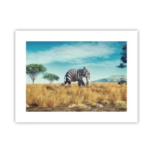 Plakát - Šedá už není v módě - 40x30 cm