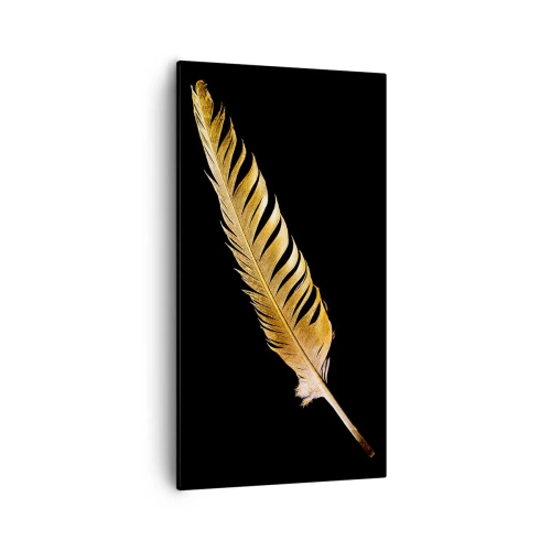 Obraz na plátně - Krásne peříčko… - 55x100 cm