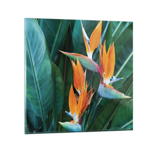 Obraz na skle - Je to květina, nebo pták? - 60x60 cm