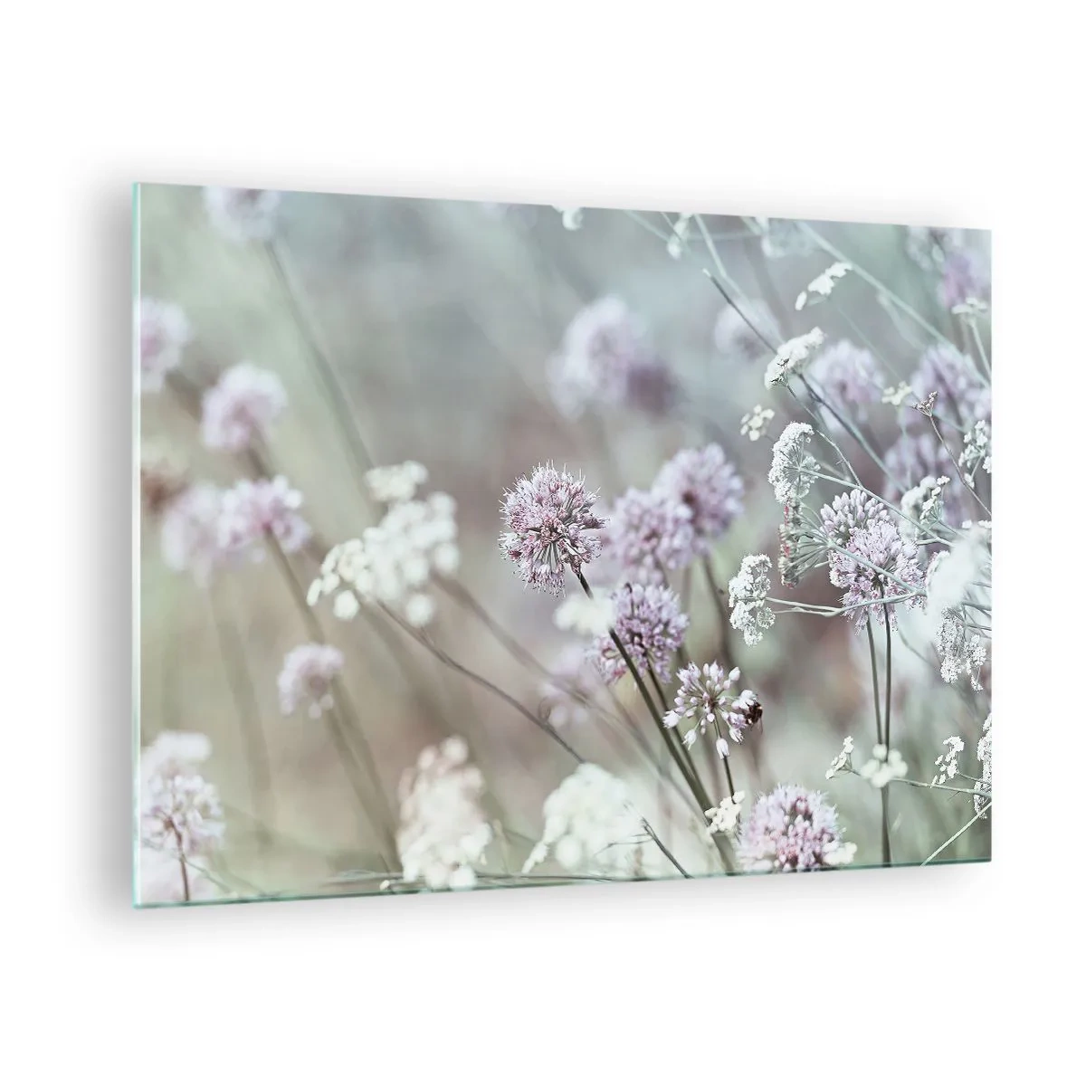 Obraz na skle - Jemné divoké květiny v pastelových odstínech - 70x50cm - Sladké filigrány bylinek - Moderní nástěnná dekorace do obývacího pokoje a ložnice ARTTOR