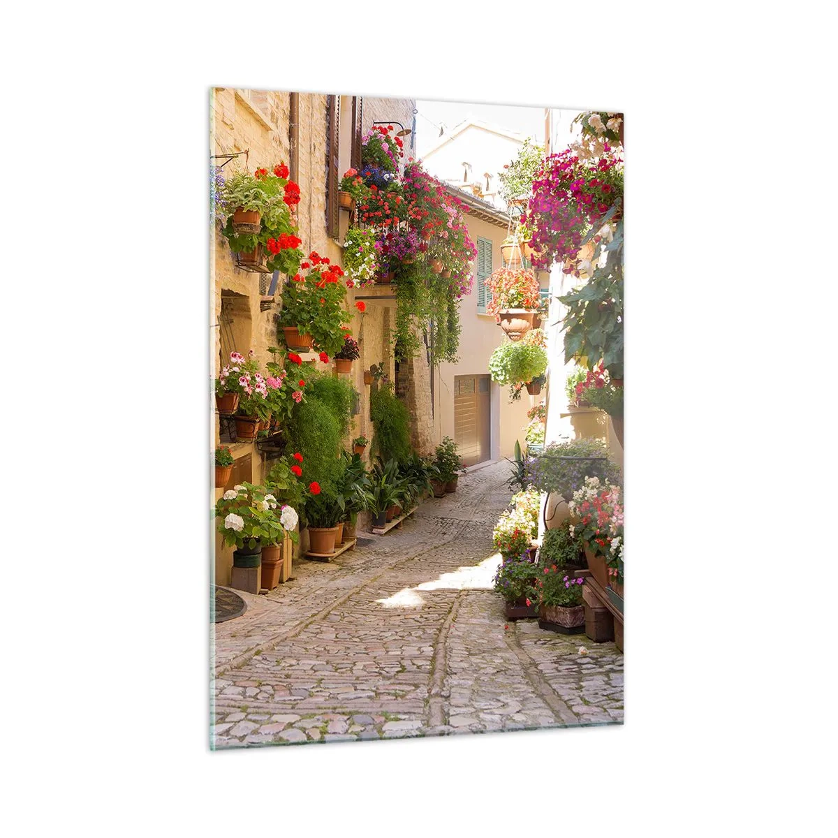 Obraz na skle - V záplavě květin - 50x70 cm
