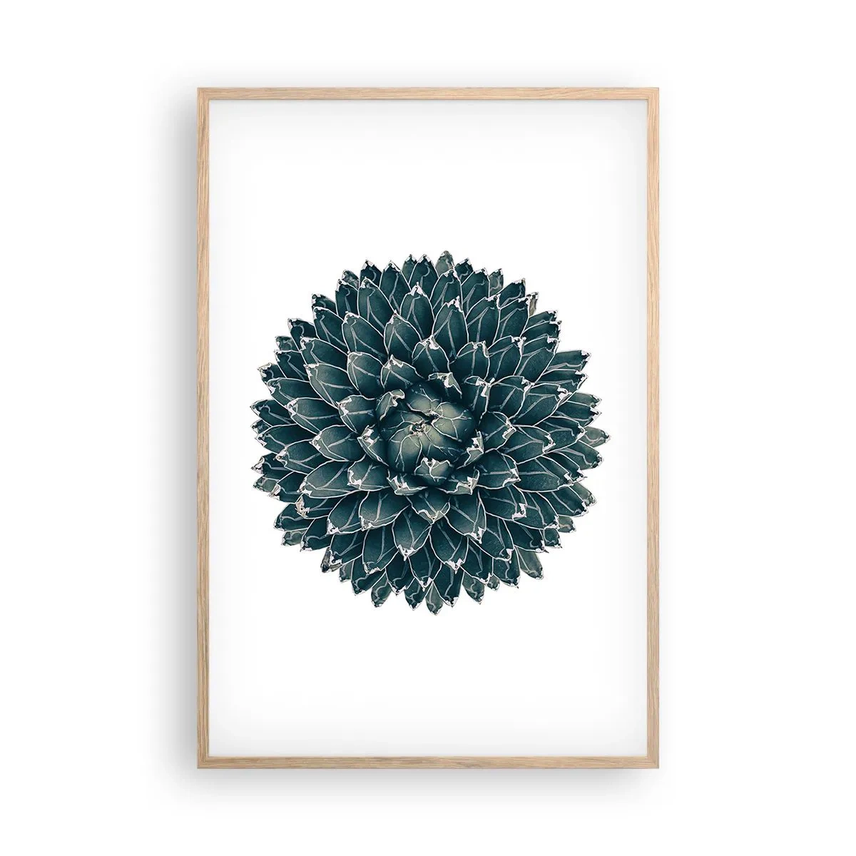 Plakát v rámu světlý dub - Hvězda pouště - 61x91 cm