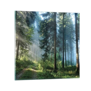 Obraz na skle - Zářící za úsvitu - 40x40 cm