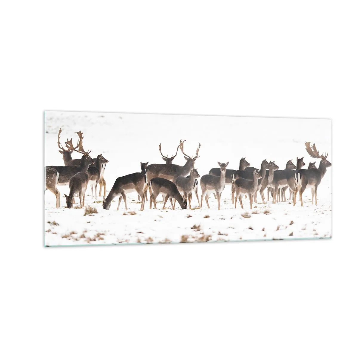 Obraz na skle - Budou svátky? - 100x40 cm
