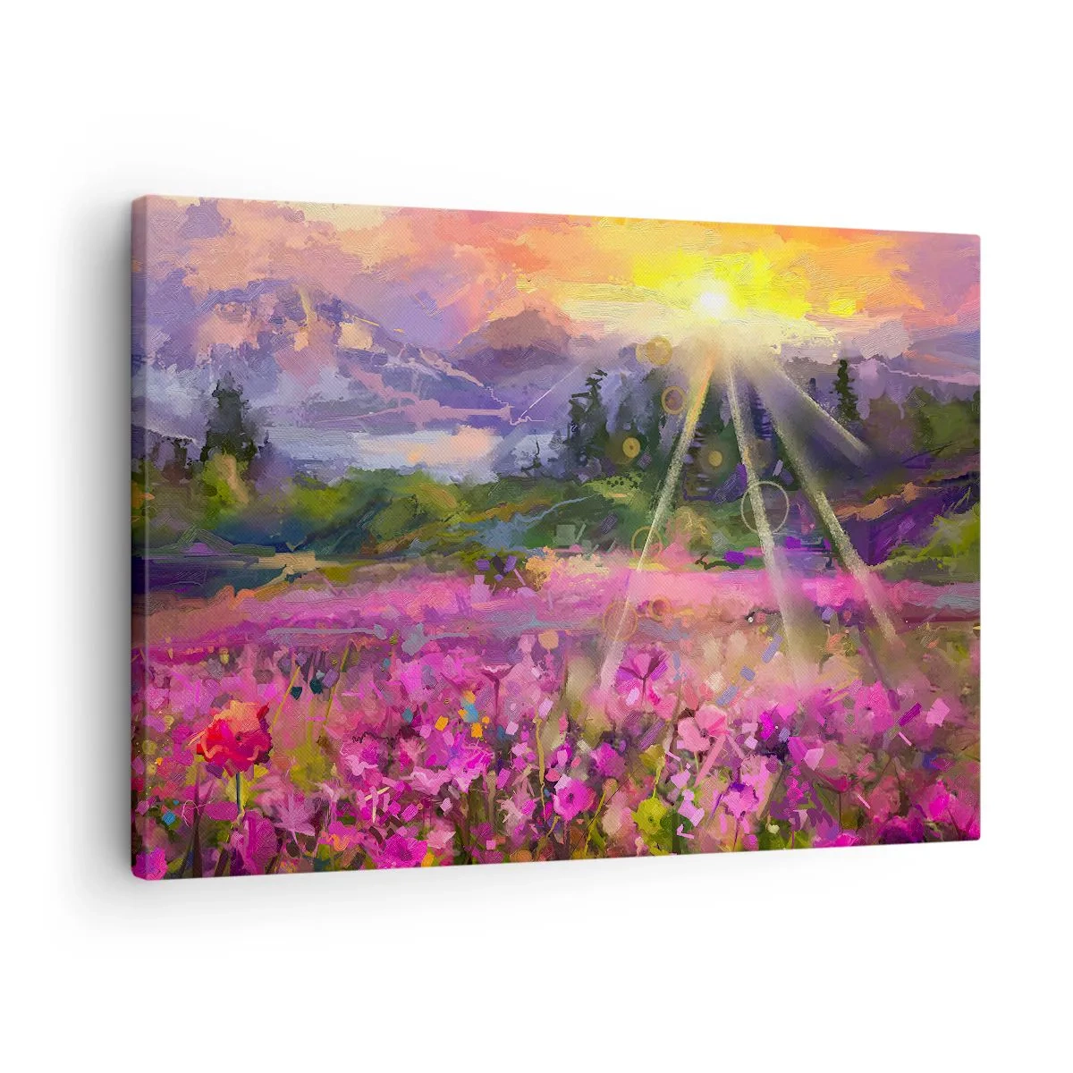 Obraz na plátně - V údolí v péči slunce - 70x50 cm