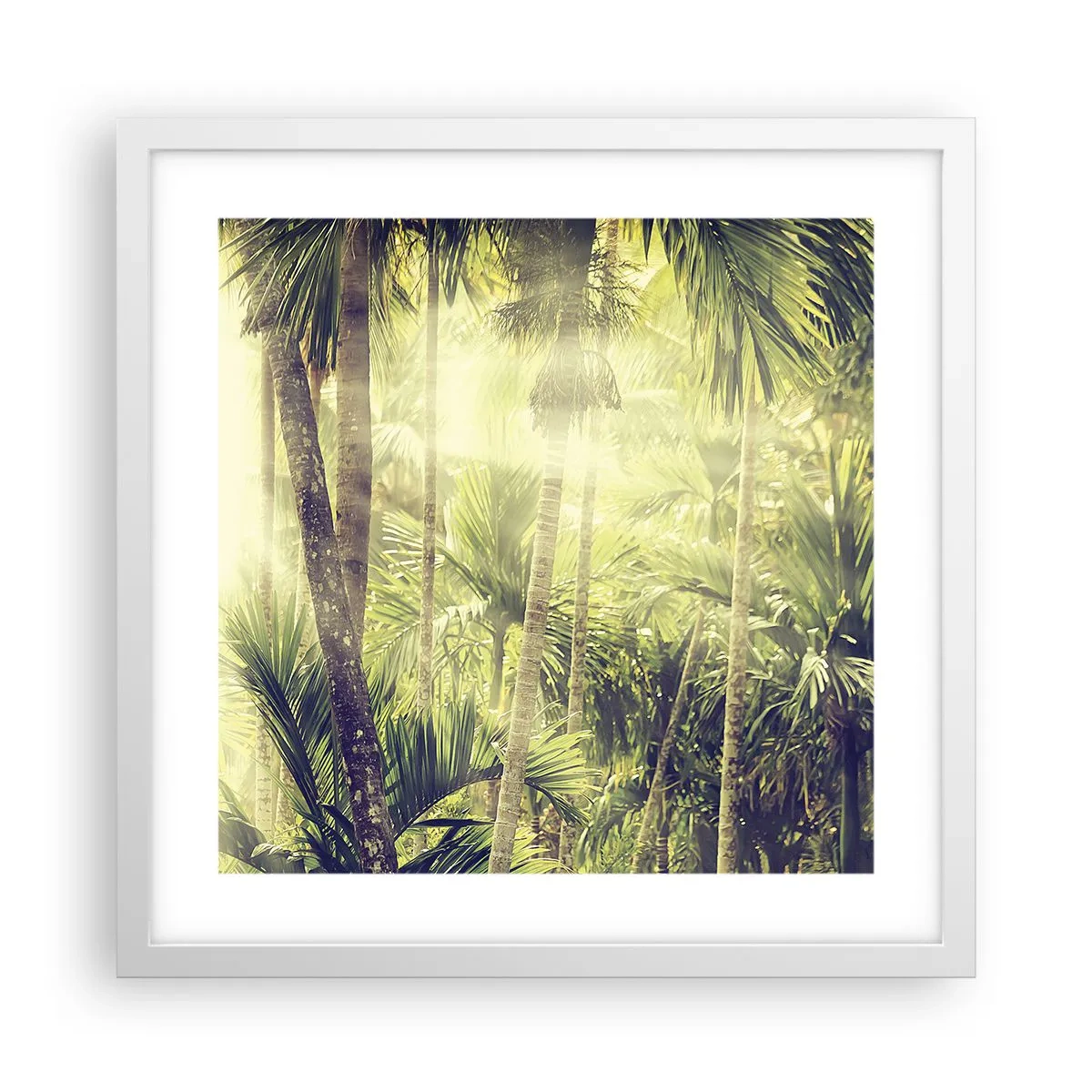Plakát v bílém rámu - V zeleném žáru - 40x40 cm