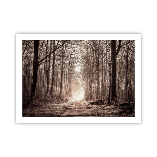 Plakát - Lesní katedrála - 70x50 cm