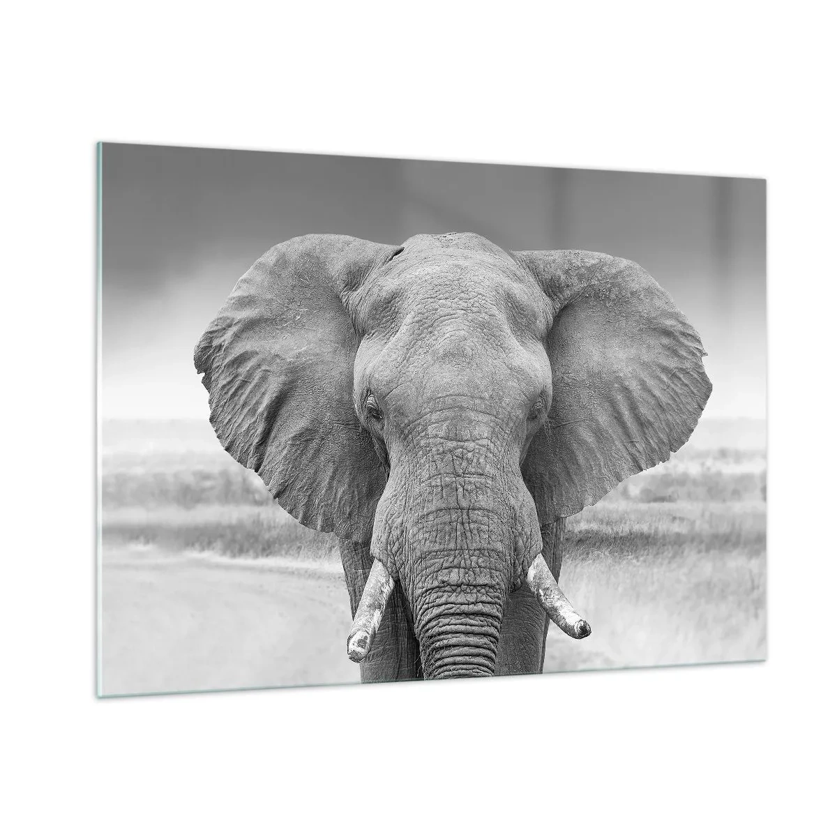 Obraz na skle - Vítejte v mém světě - 100x70 cm