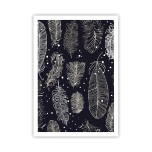 Plakát - Krajka s peřím - 70x100 cm