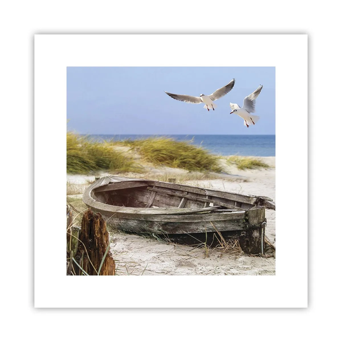 Plakát - Větrem ozářené - 30x30 cm