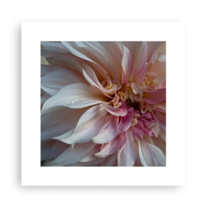 Plakát - Kvetoucí svěžest - 30x30 cm