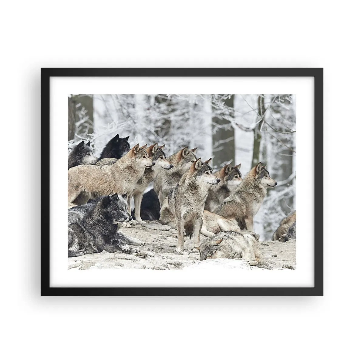 Plakát v černém rámu - Rodina a přátelé - 50x40 cm